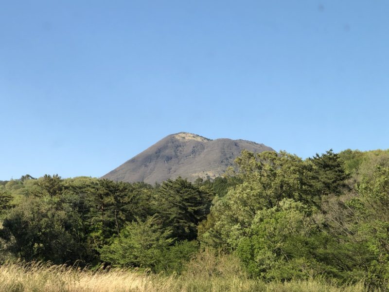 自分の理想の家を建て、好きなことをして生きるために